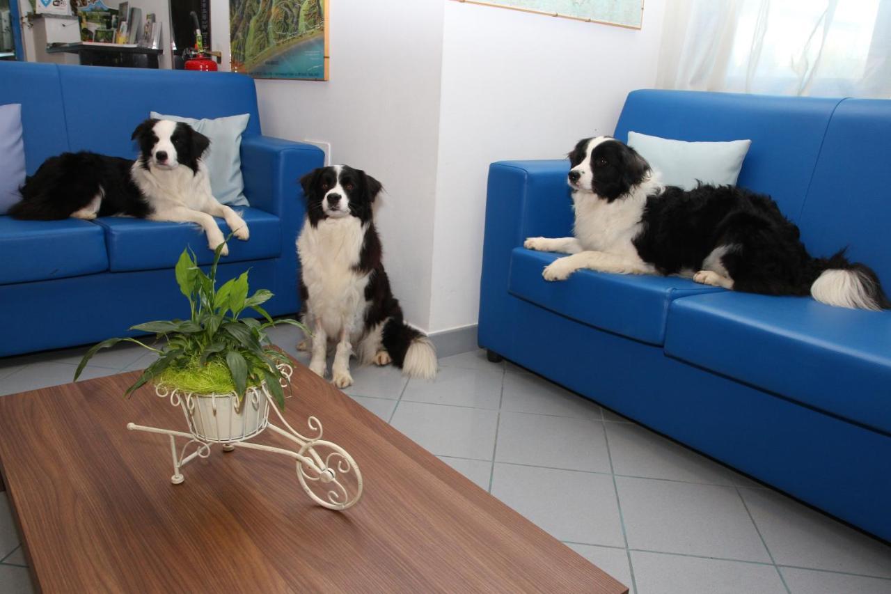 Hotel Marina Roseto Degli Abruzzi Extérieur photo