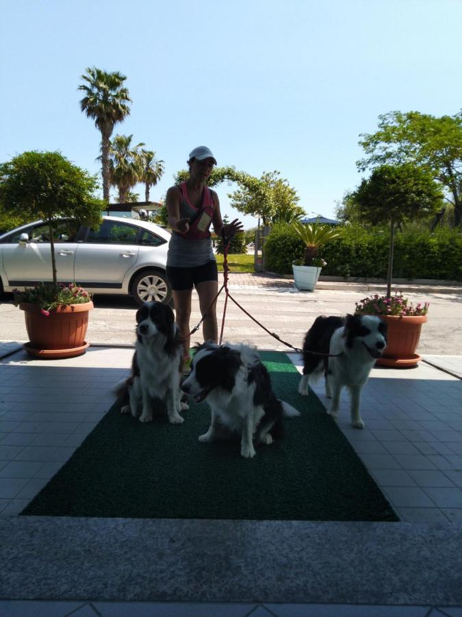 Hotel Marina Roseto Degli Abruzzi Extérieur photo